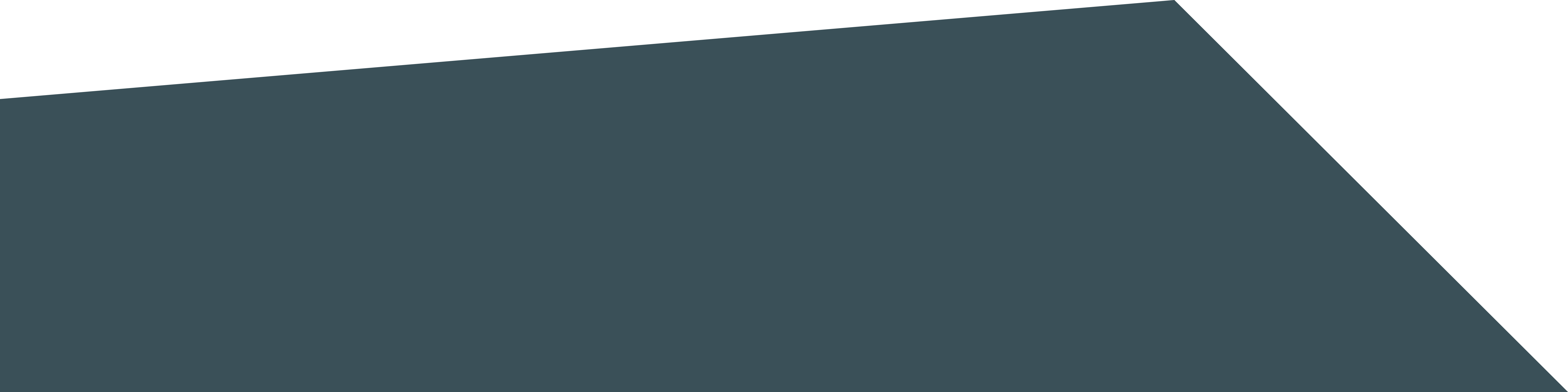 batisseur-inner__bottom-bg