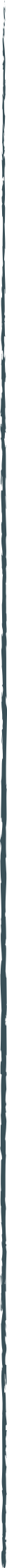 batisseur-inner__line
